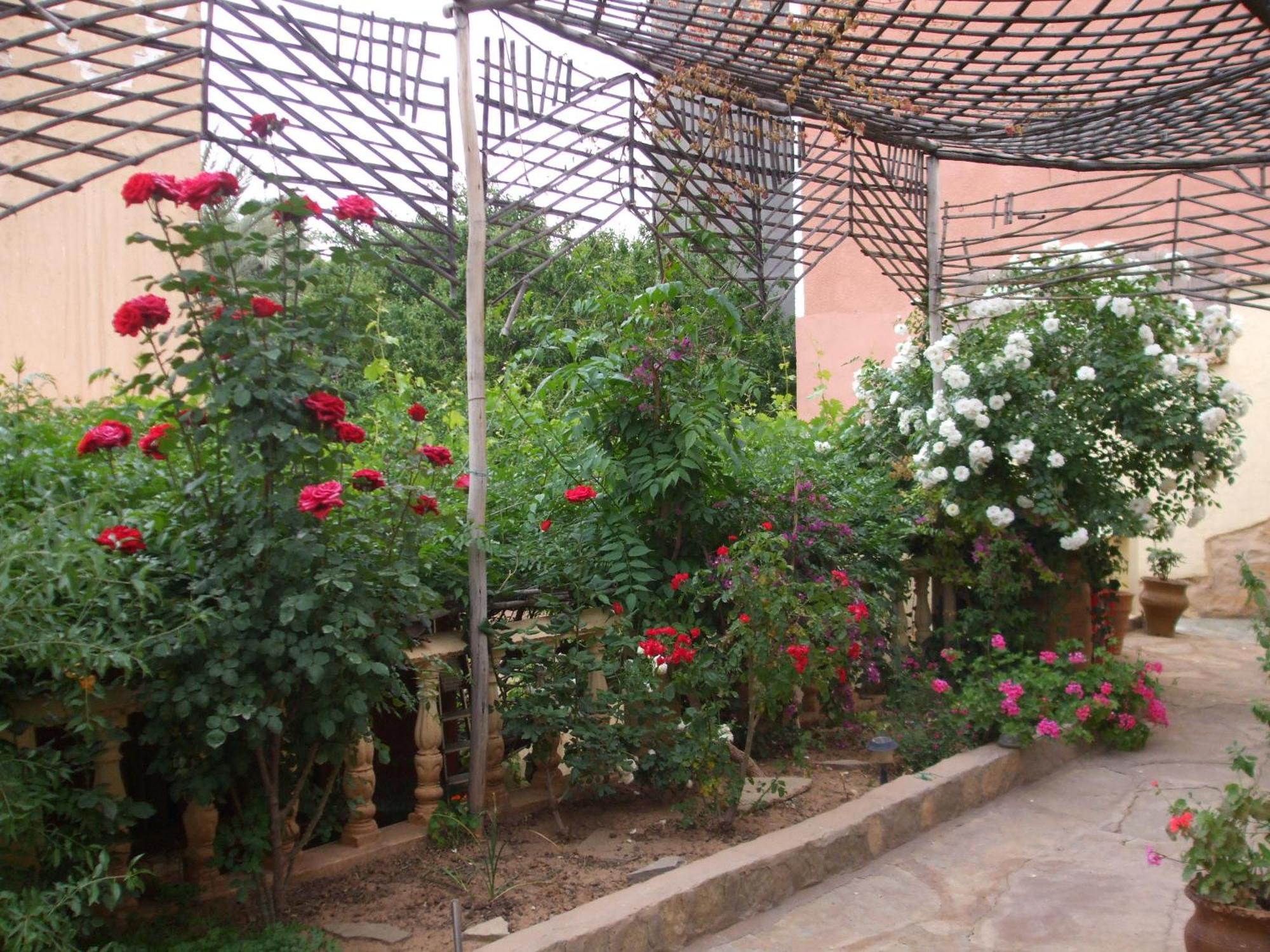 Palmeraie Guest House Tinghir Екстер'єр фото